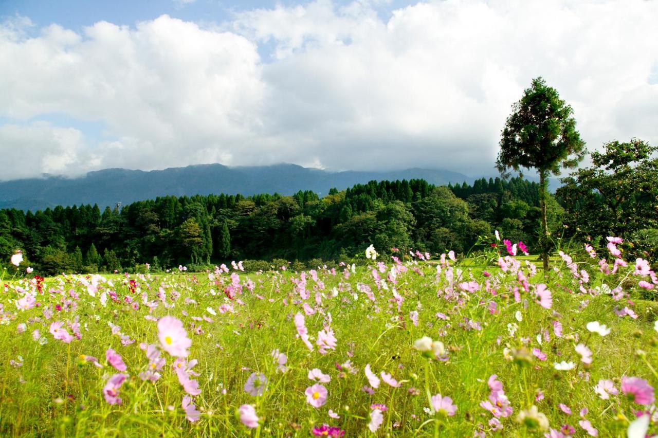 Satoyama No Auberge Maki No Oto 南砺 外观 照片